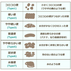 bristol_scale