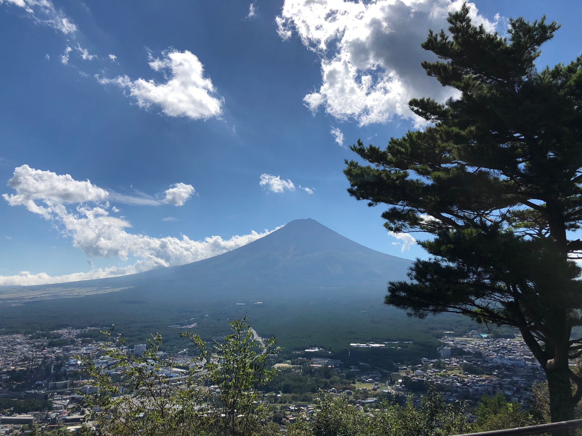 よくある小児の外科疾患:肘内障(ちゅうないしょう)、肘の関節の脱臼(だっきゅう)について。突然、痛がって腕を動かさなくなって発症します。