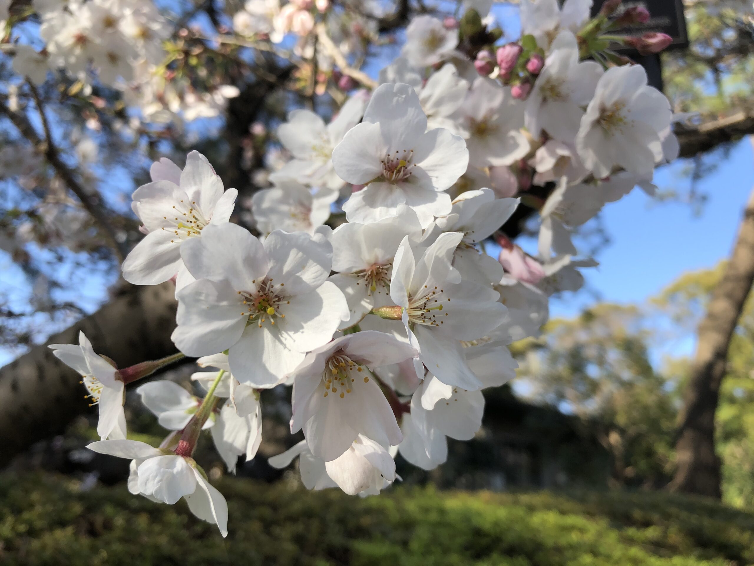 子どもの便秘：便秘の治療で「たくさん水分をとること」は意義はあるのでしょうか？